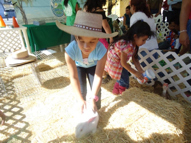 Jugando con animalitos